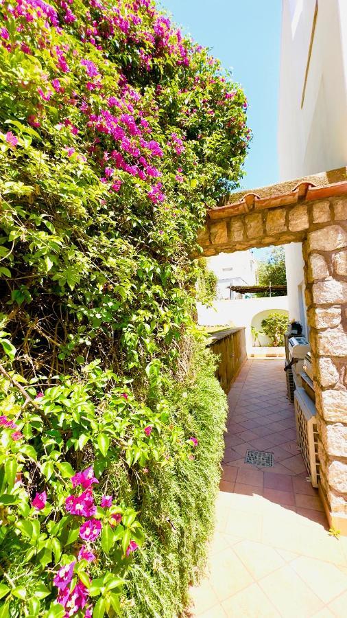 La Zagara By Caprirooms Affittacamere